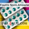 African Black Ant dapoxetine2